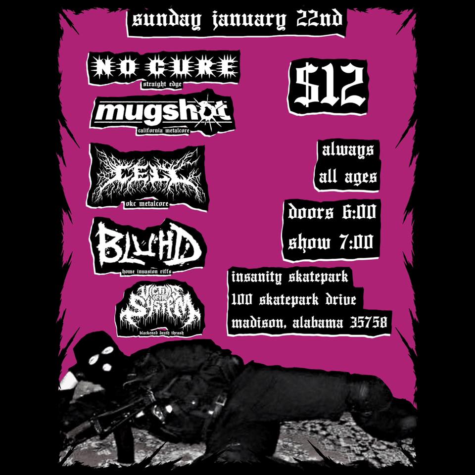 a cold new year tour