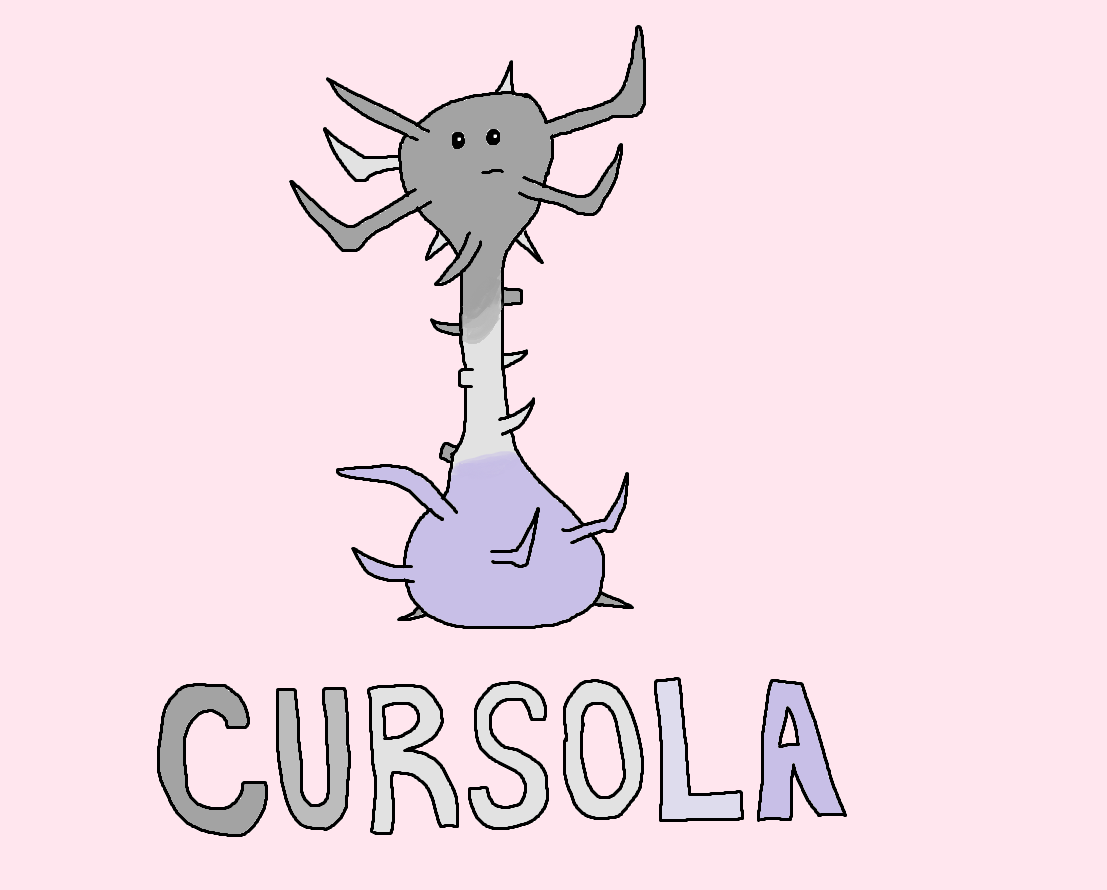cursola